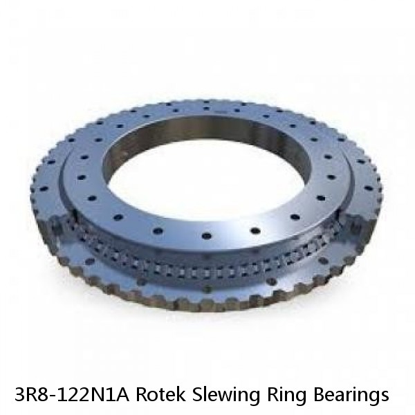 3R8-122N1A Rotek Slewing Ring Bearings