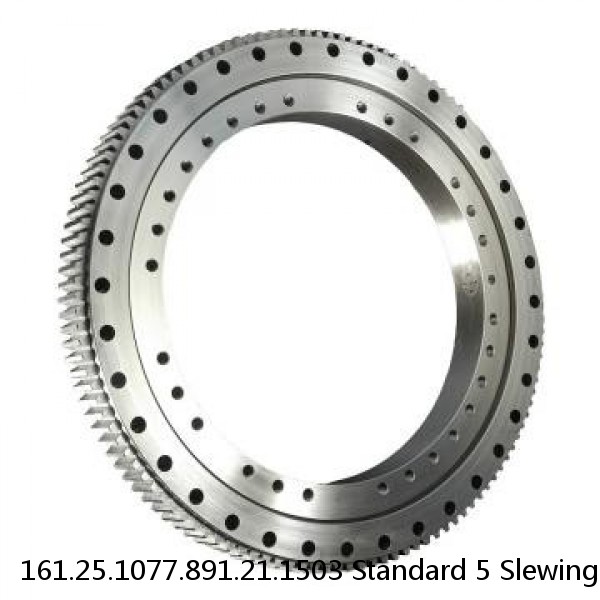 161.25.1077.891.21.1503 Standard 5 Slewing Ring Bearings