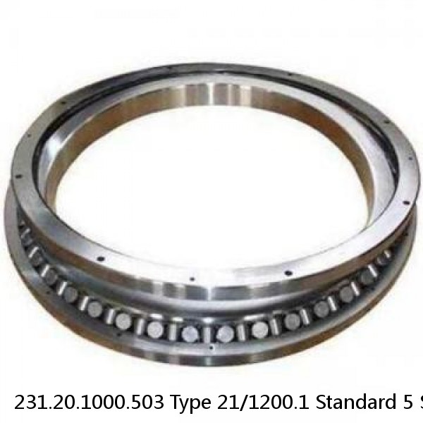 231.20.1000.503 Type 21/1200.1 Standard 5 Slewing Ring Bearings