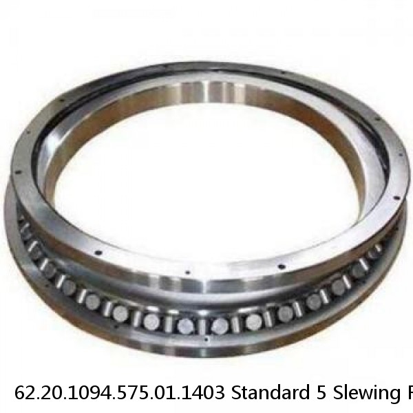 62.20.1094.575.01.1403 Standard 5 Slewing Ring Bearings