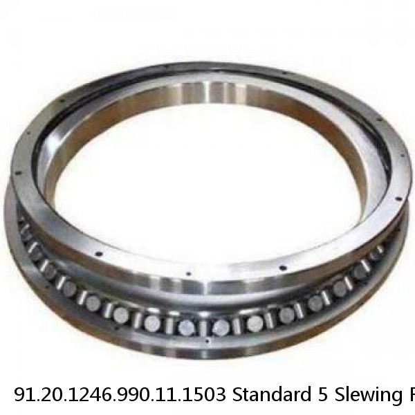 91.20.1246.990.11.1503 Standard 5 Slewing Ring Bearings