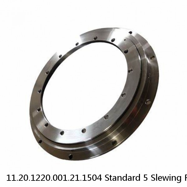 11.20.1220.001.21.1504 Standard 5 Slewing Ring Bearings