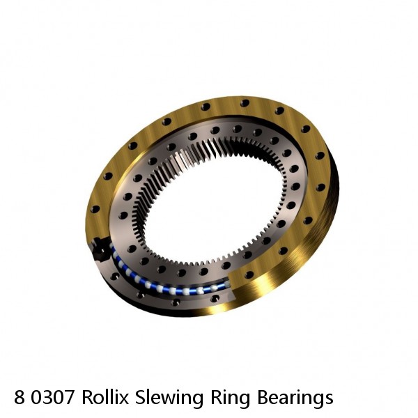 8 0307 Rollix Slewing Ring Bearings