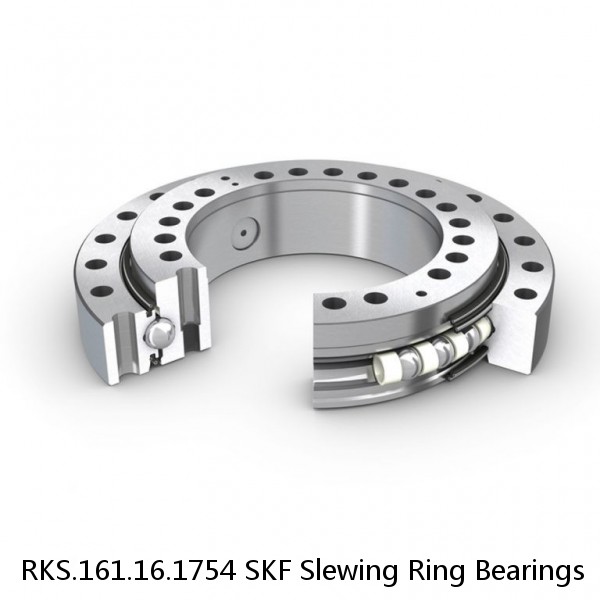 RKS.161.16.1754 SKF Slewing Ring Bearings