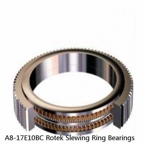 A8-17E10BC Rotek Slewing Ring Bearings