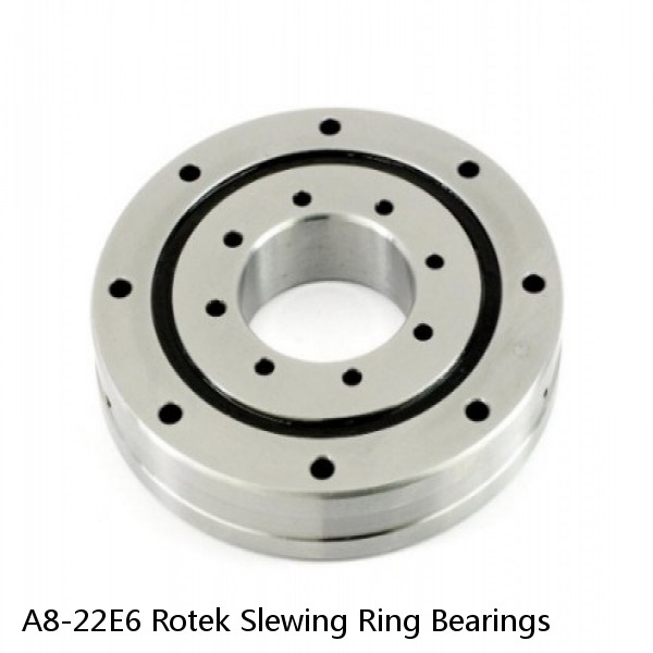 A8-22E6 Rotek Slewing Ring Bearings