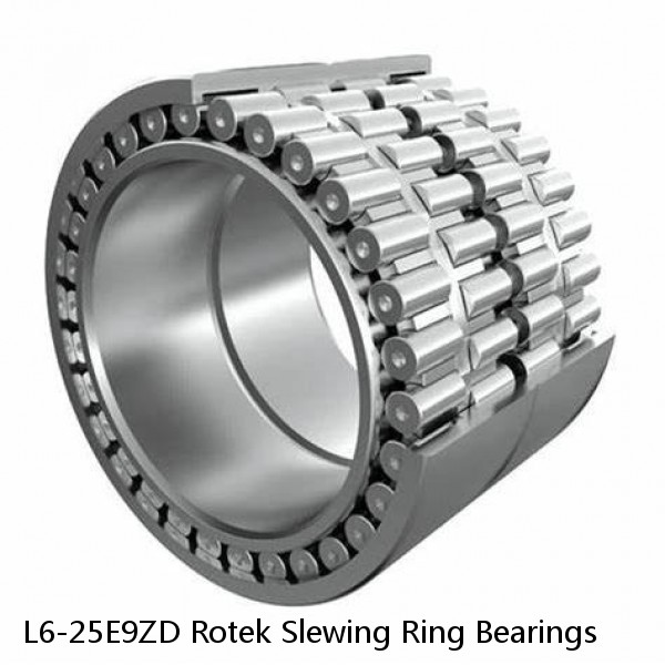 L6-25E9ZD Rotek Slewing Ring Bearings