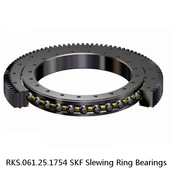 RKS.061.25.1754 SKF Slewing Ring Bearings