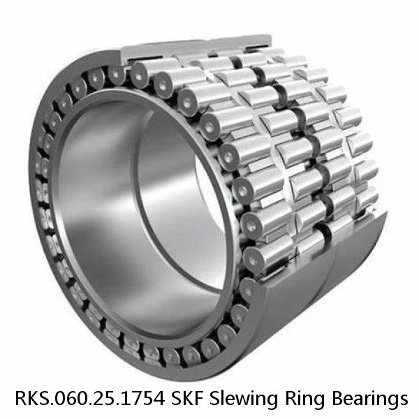 RKS.060.25.1754 SKF Slewing Ring Bearings