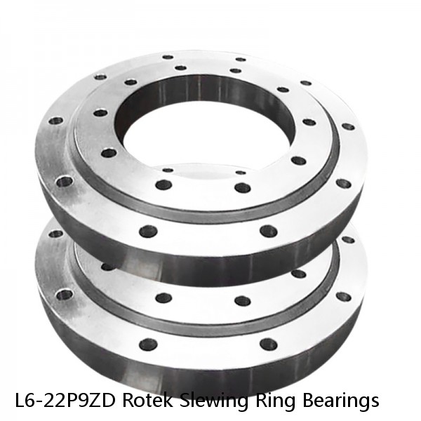 L6-22P9ZD Rotek Slewing Ring Bearings