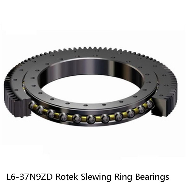 L6-37N9ZD Rotek Slewing Ring Bearings