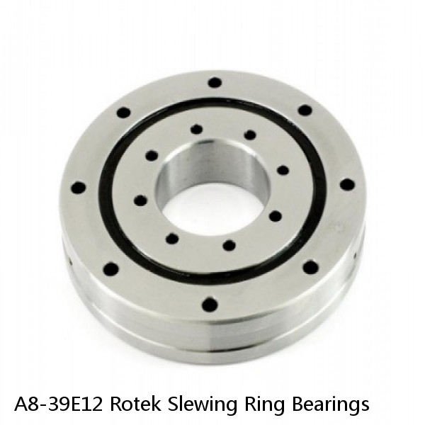 A8-39E12 Rotek Slewing Ring Bearings