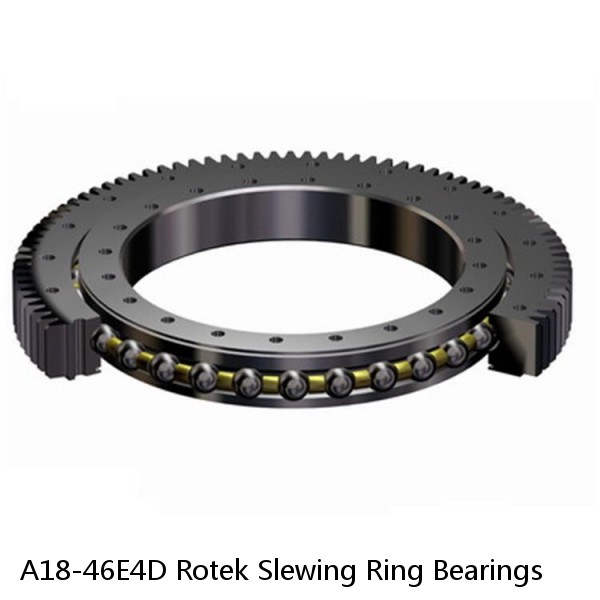 A18-46E4D Rotek Slewing Ring Bearings