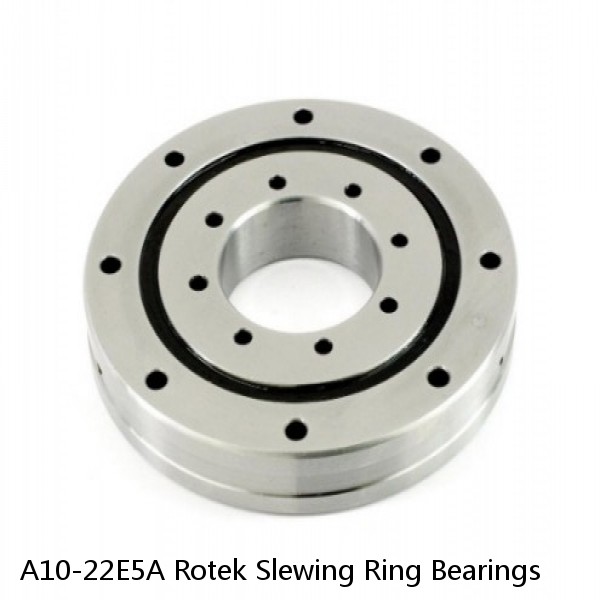 A10-22E5A Rotek Slewing Ring Bearings