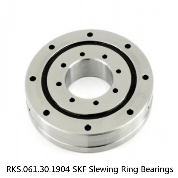 RKS.061.30.1904 SKF Slewing Ring Bearings