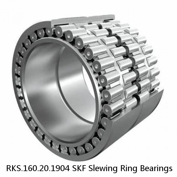 RKS.160.20.1904 SKF Slewing Ring Bearings