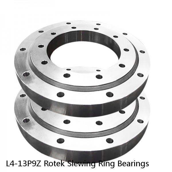 L4-13P9Z Rotek Slewing Ring Bearings