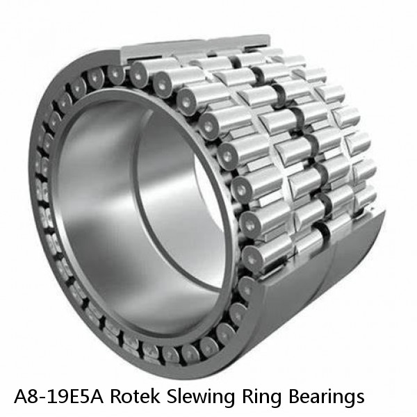 A8-19E5A Rotek Slewing Ring Bearings