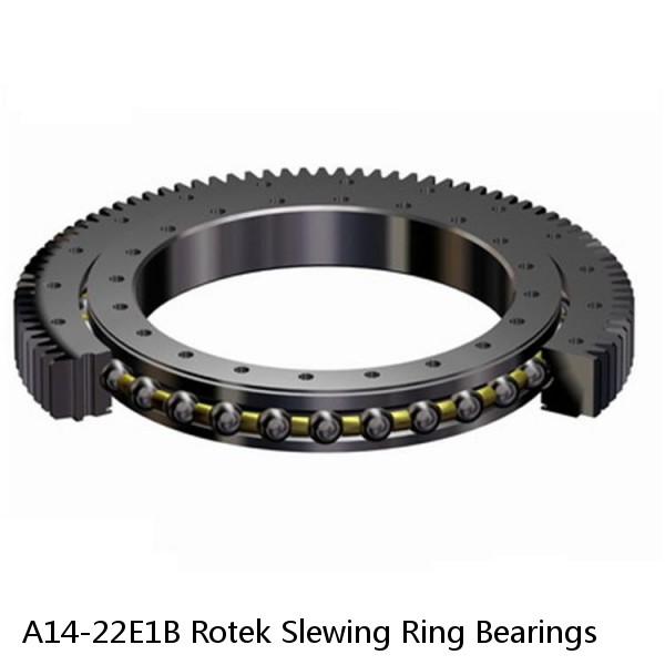 A14-22E1B Rotek Slewing Ring Bearings