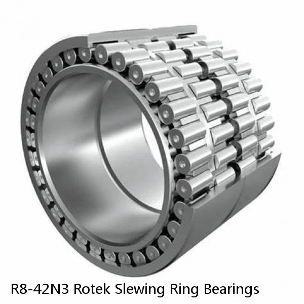 R8-42N3 Rotek Slewing Ring Bearings