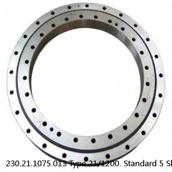 230.21.1075.013 Type 21/1200. Standard 5 Slewing Ring Bearings