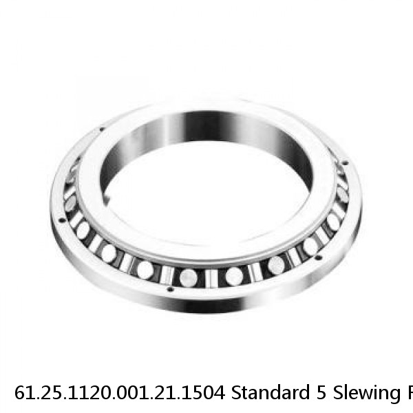 61.25.1120.001.21.1504 Standard 5 Slewing Ring Bearings