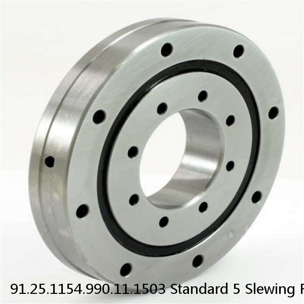 91.25.1154.990.11.1503 Standard 5 Slewing Ring Bearings