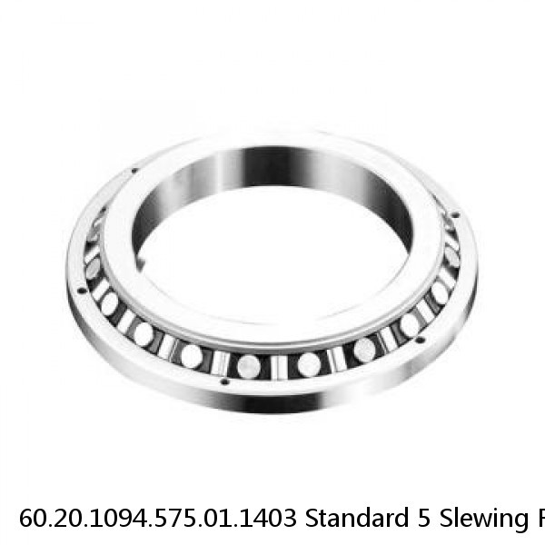 60.20.1094.575.01.1403 Standard 5 Slewing Ring Bearings