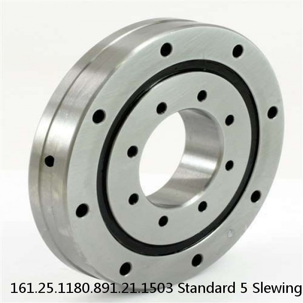 161.25.1180.891.21.1503 Standard 5 Slewing Ring Bearings