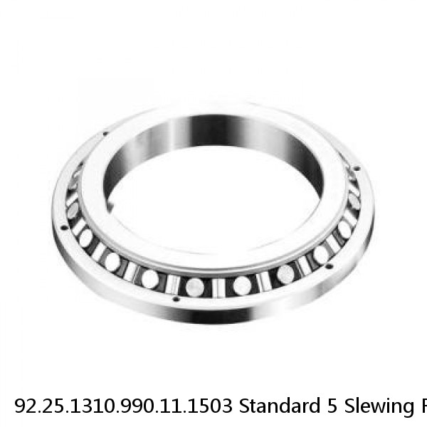 92.25.1310.990.11.1503 Standard 5 Slewing Ring Bearings