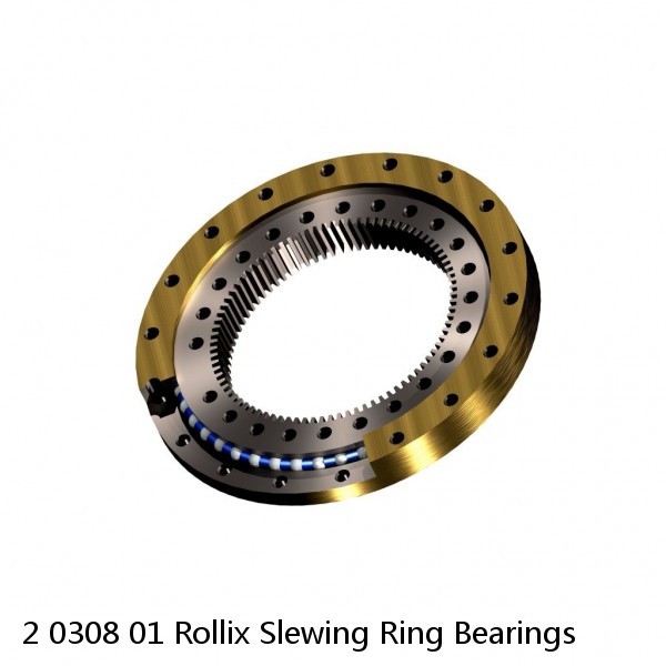 2 0308 01 Rollix Slewing Ring Bearings